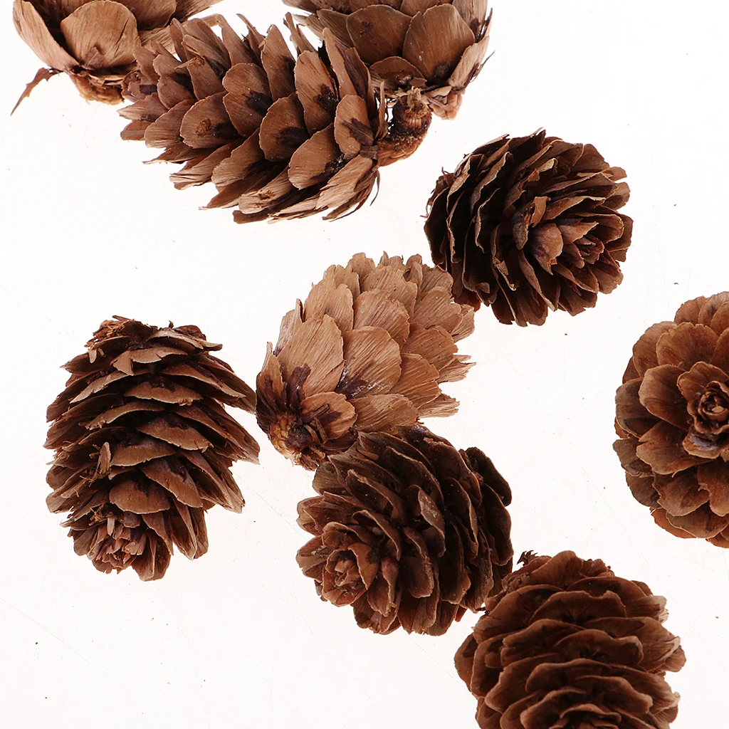 20pcs 2.5x3cm Small Pine cones Decorative Pine Cones Festival Vase Filler Snow White Christmas Tree pendants 