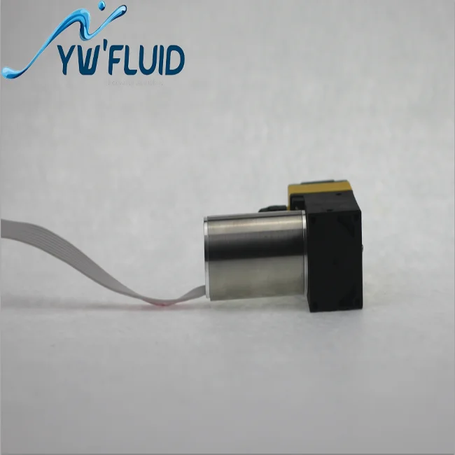Мембранный бесщеточный двигатель постоянного тока насосы 24V
