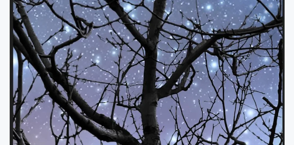 360截图20200310212032657