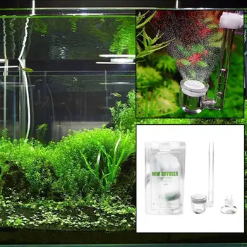 

Aquarium CO2 System Bubble Diffuser U Shaped Atomizer Arcylic Tube with Suction