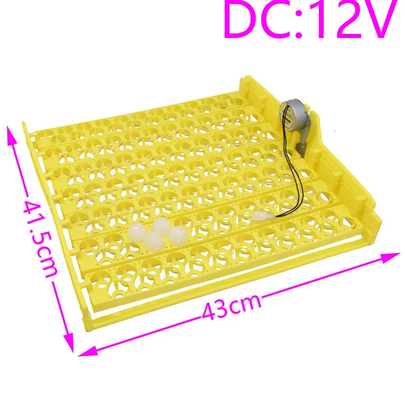 DC12V