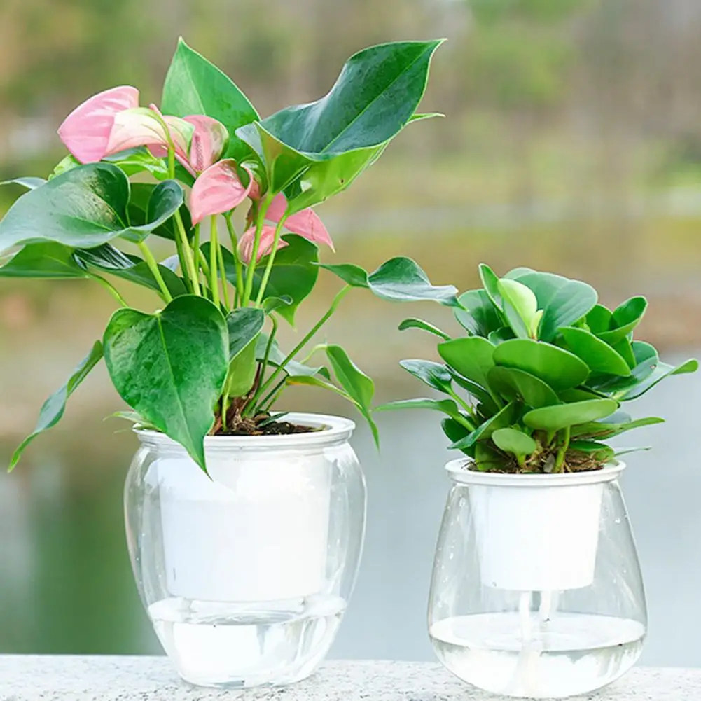 Automatic Self-Watering Succulent Plant Flower Pot Planter Home Garden Decor US 