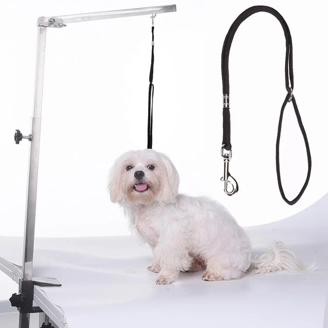 1pc Durable Dog Leash Nylon Pet Noose Loop Lock Clip Rope Harness