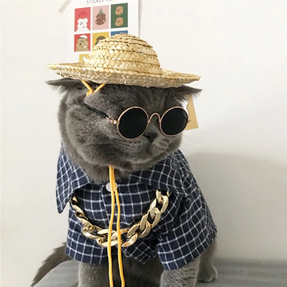 307643_no-logo_307643-1-04-g