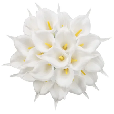 10970405064_831230203.400x400