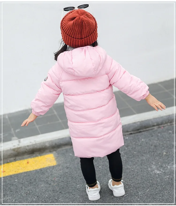 11752386719_1536282148