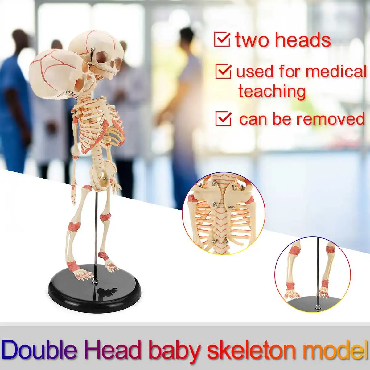 

39cm human skeletal New Double Head Baby Anatomy Skull Skeleton Anatomical Brain Anatomy Educate Model Anatomical Study Display