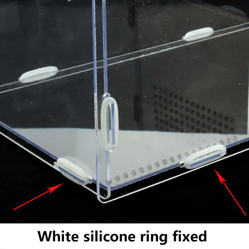 réptil transparente caixa de alimentação acrílica caixa de reprodução graus alta transparente magnética pet escalada terrário