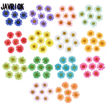 

100Pcs Real Natural Dried Pressed Flowers White Daisy Pressed Flower for Resin Jewelry Nail Stickers Makeup Art Crafts