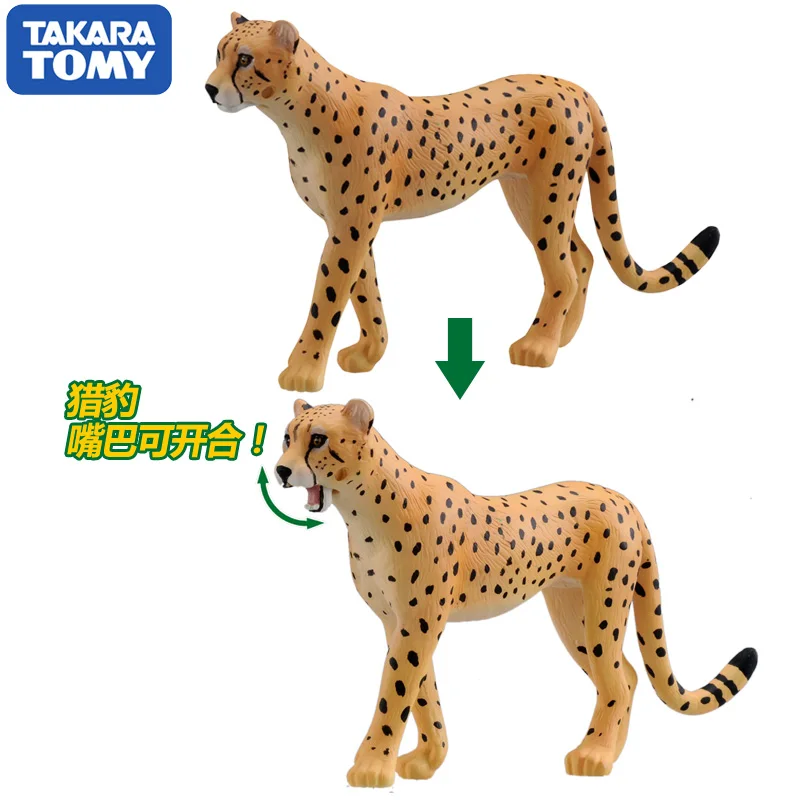 S01 Takara Tomy ANIA Animal Advanture AS 13 Cheetah Wild 5 см ABS фигурка детские развивающие