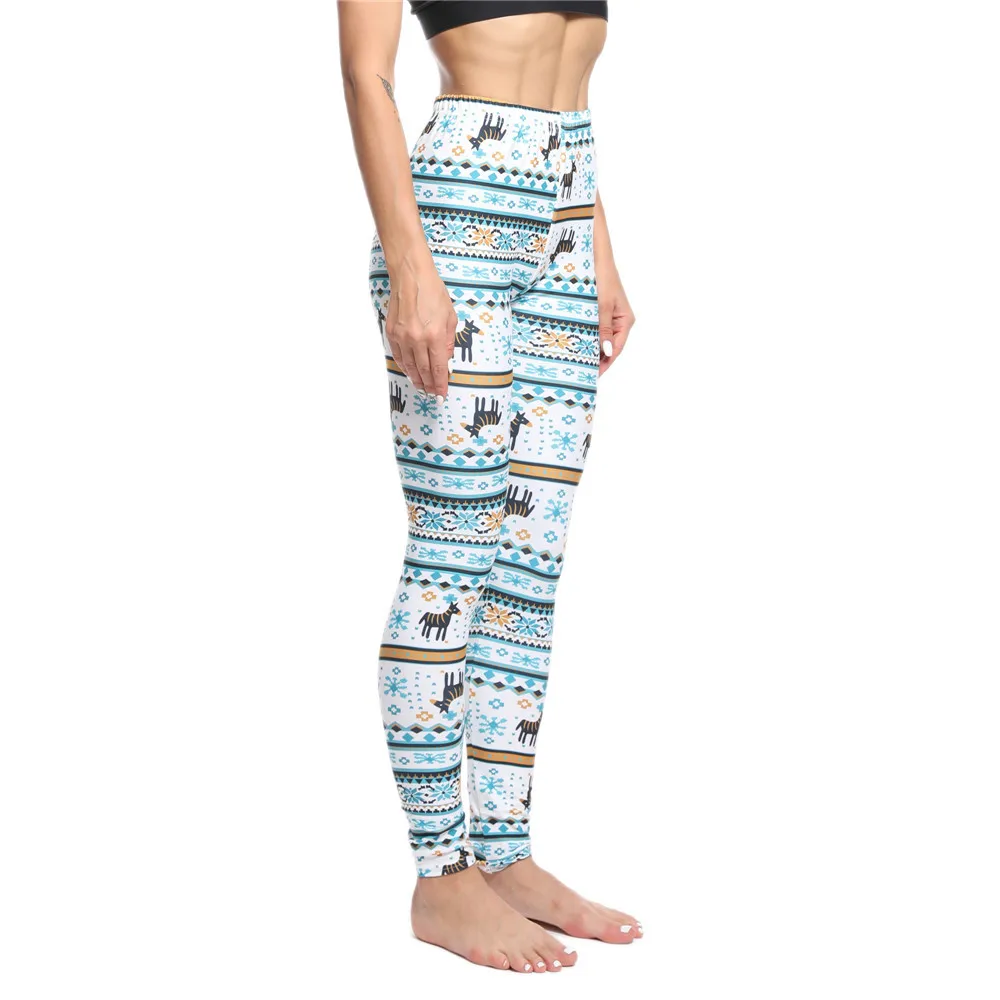 11429625866_1104678658