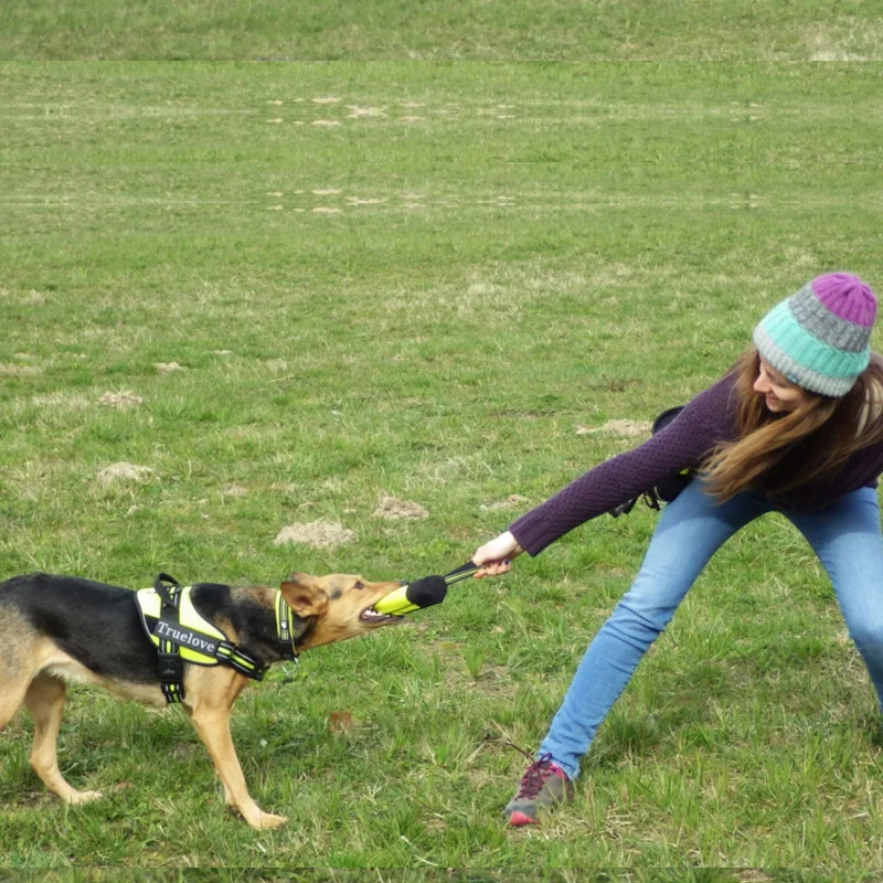 Truelove сумки для дрессировки собак, сумки для закусок, сумка для корма для собак, карманная сумка для собак, поясная сумка для дрессировки