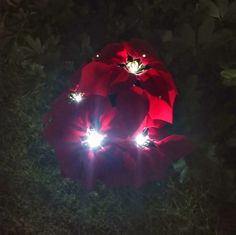 Solar LED Red Christmas Flower Insert Solar Simulation Lantern LED Garden Light Garden Decoration Light Night Lighting