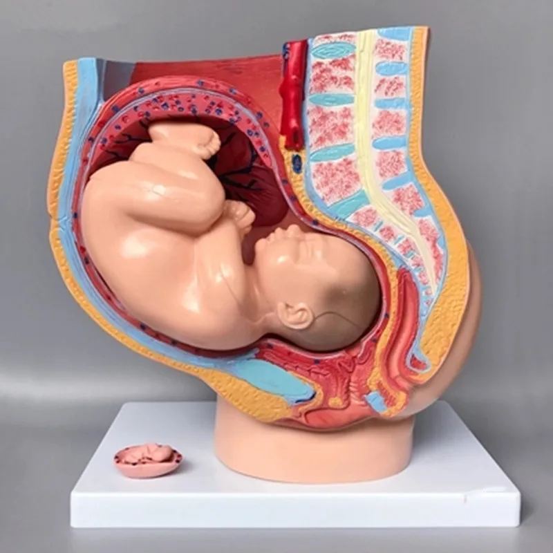 HTB1zoB7B4uTBuNkHFNRq6A9qpXag