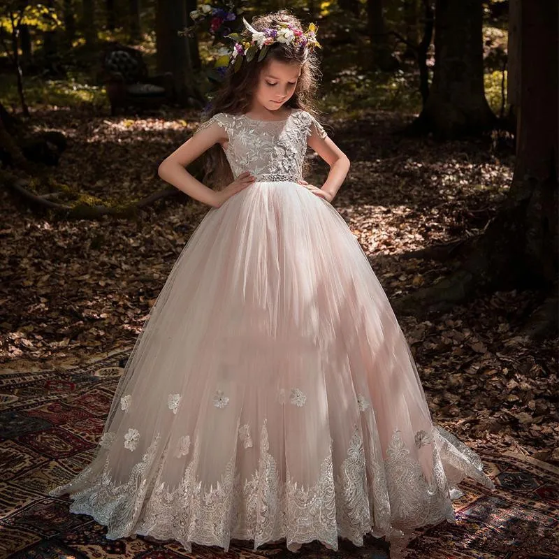 206 (1)Blush Flower Girl Dresses For Weddings Ball Gown Cap Sleeves Tulle Lace Beaded Long First Communion Dresses Little Girl