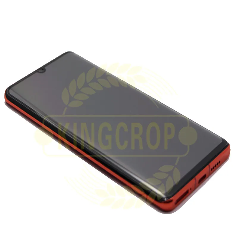 P30 Pro with frame(11)