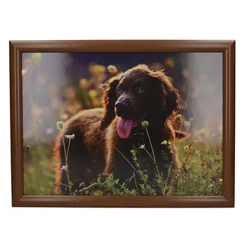 

Tray with pillow spaniel 44x34 cm