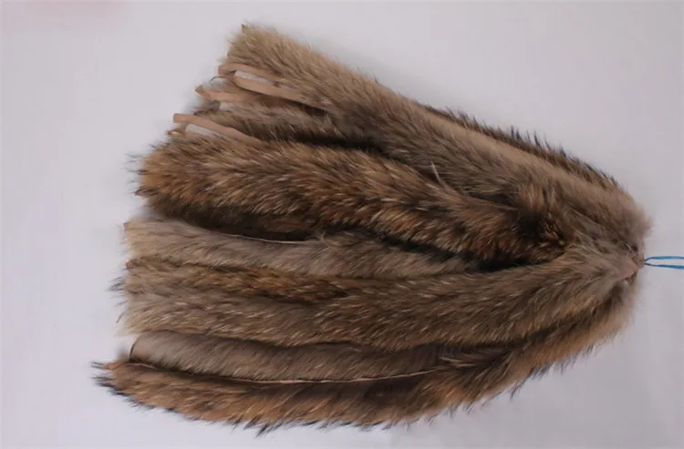 1549863856_2040046324