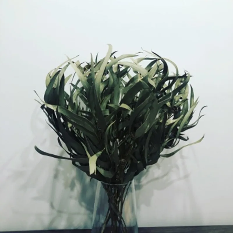 O1CN012Ffc1n1q7giHF0Uuy_!!0-rate.jpg_400x400