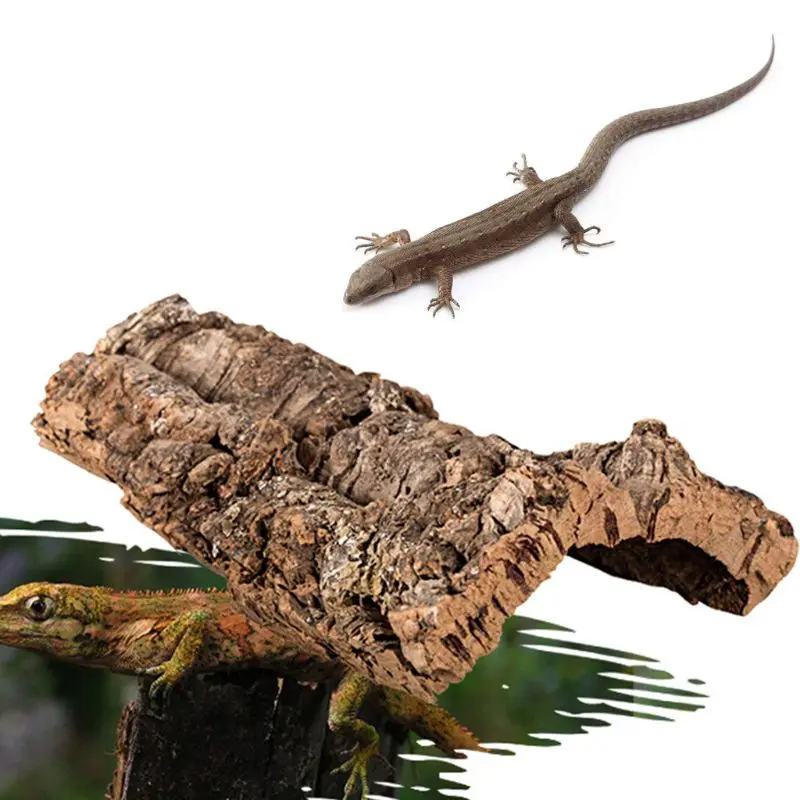 Reptile Climbing Cork Bark Natural Wood Habitat Lizard Spider Pet Hiding Place Rtengtunn Tree Bark S