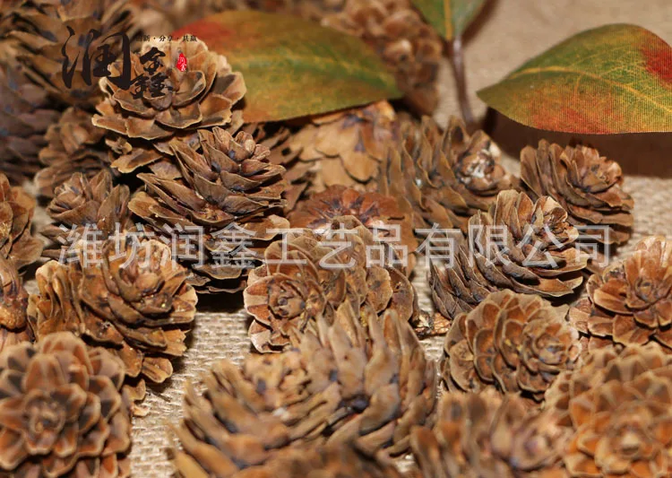 Entirely Natural Preserved Egg Pinecone Christmas Decorations Creative Decoration Pendant Filming Props Dried Flower