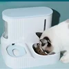 3L Pet Cat Food Bowl Dog Automatic Feeder With Dry Food Storage Cat Drinking Water Bowl