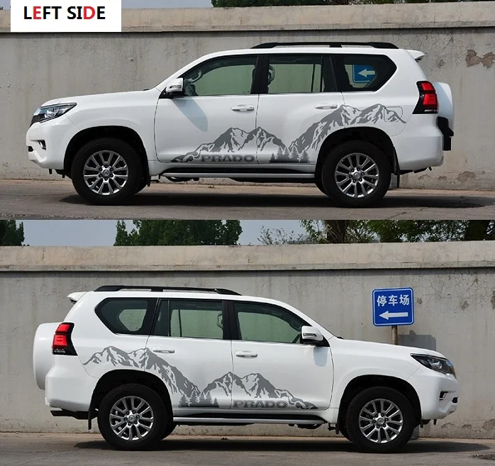 Silver grey Наклейки для автомобиля с левой стороны HD струйная гравировка для всего тела стильные персонализированные декоративные наклейки с цветами - Название цвета: Silver grey