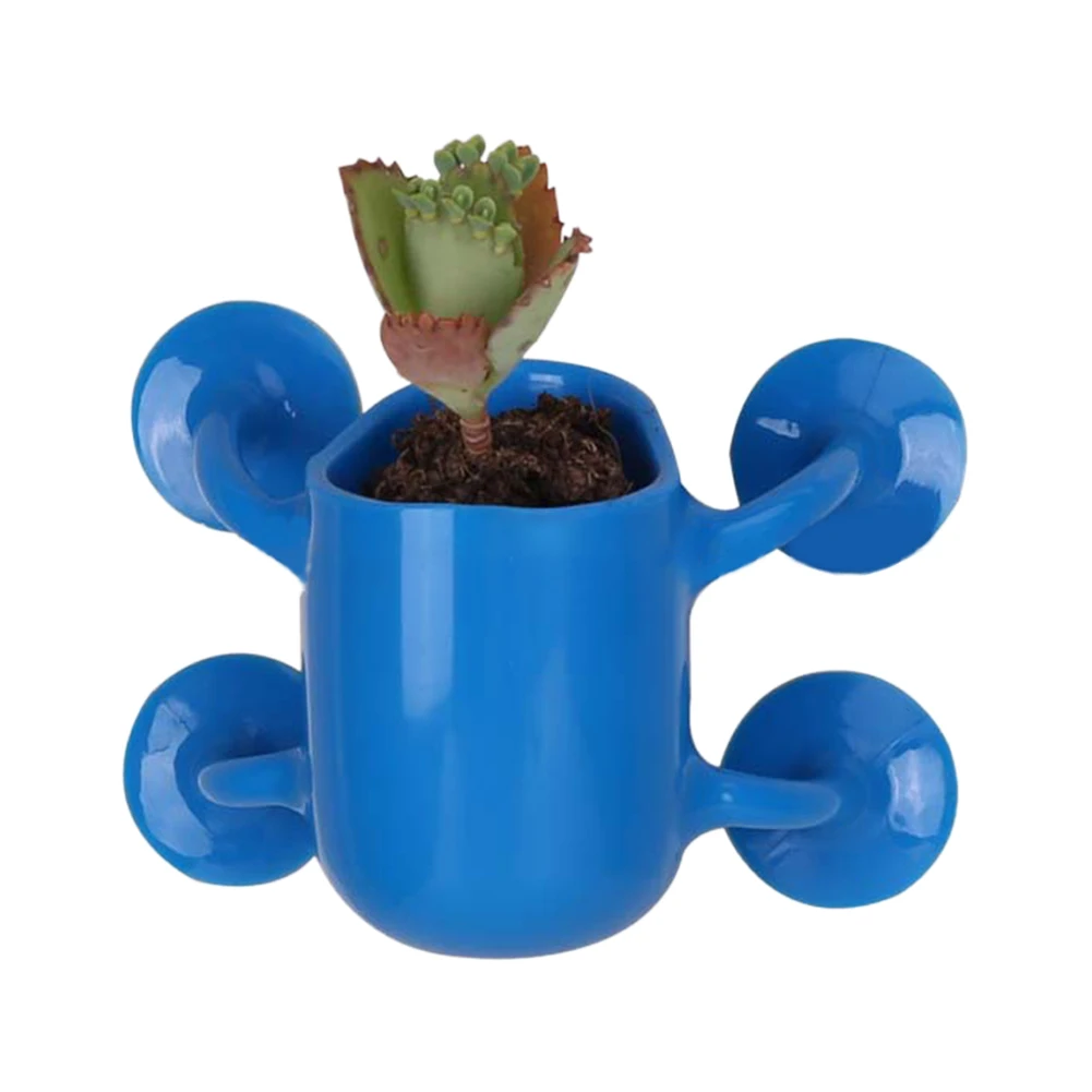 Creative Mini Flower Pots Bonsai Pants with Suction Cup Wall Flowerpot Flowers Cactus Culture Container Home Office Decor Plante