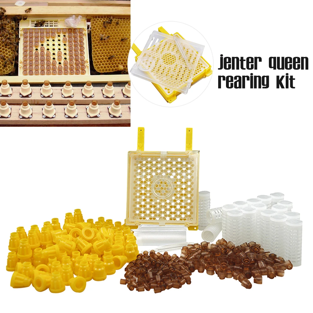 Germany-Jenter-Queen-Rearing-Kit-Nicot-Bee-Queens-Rearing-System-Queen ...