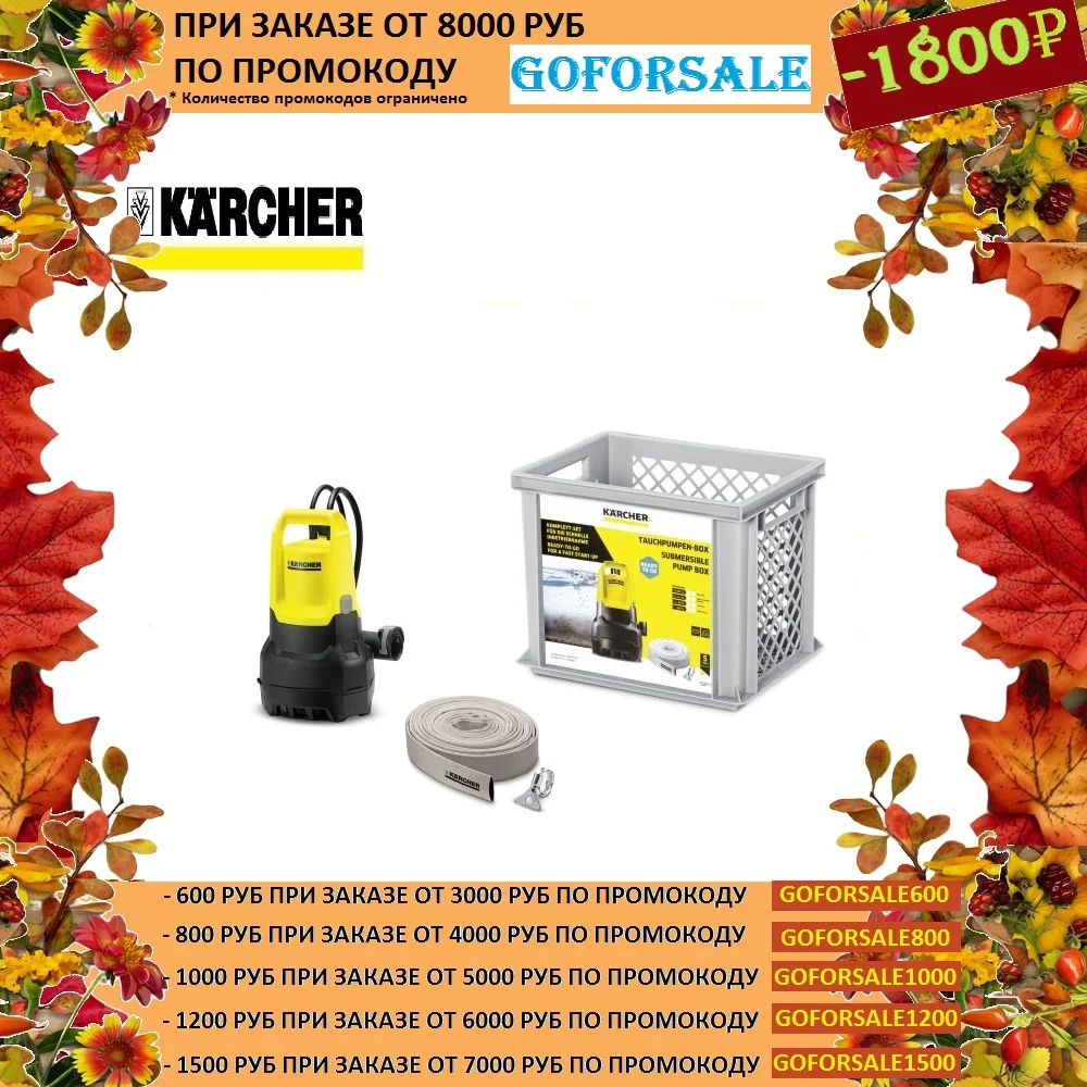 Комплект с дренажным насосом SP 5 DIRT Karcher | Обустройство дома