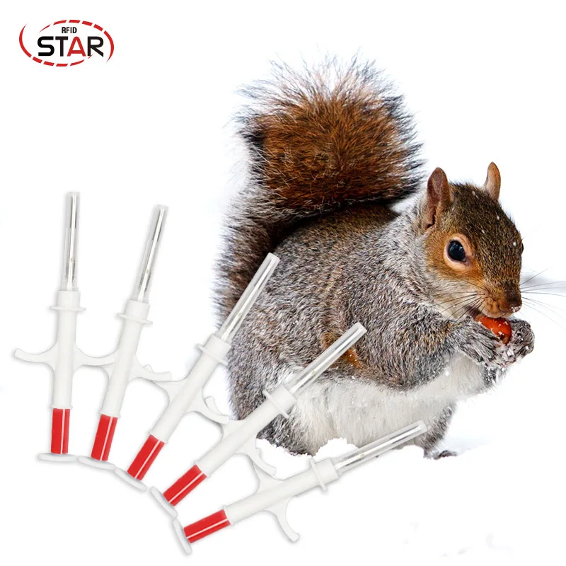 

30pcs smallest Rfid animal Id Implantable Syringe /injector ISO11784/5 FDX-B 134.2KHz Pet microchips For Cat fish dogs