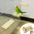 Pet Bird Parrot Wood Stand Окунь Зеркальная Платформа Висит Забавная Клетка Жевательная Игрушка Домашние Игрушки Висит Клетка Pet Product Paw Grinding Toy