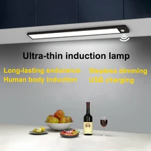 

Intelligent Induction Light USB Charging No Punching Wardrobe Nightlight LED Porch Corridor Vanity Ultra-thin Lamp