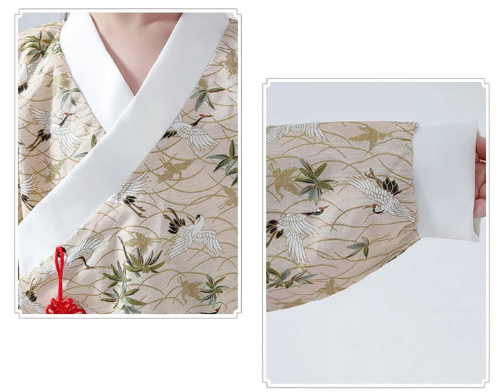 Hanfu/платье для девочек с рисунком журавля г. Осенне-зимняя новая улучшенная юбка для кроссдресса костюм для девочек феи, милый костюм в китайском стиле