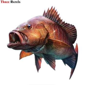 

Three Ratels FTC-885# 14cmx14.5cm Savage Mangrove Jack Personality Animal Fish PVC Car Styling motorcycle Car Sticker Decal