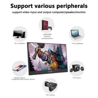 Computer Peripherals
