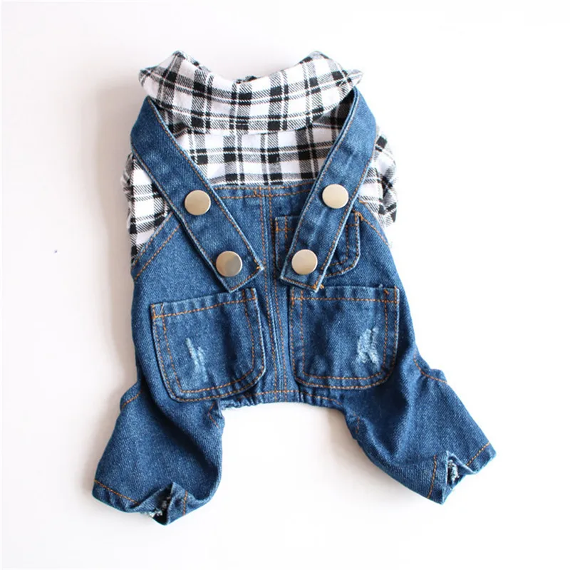 10755625226_289572969