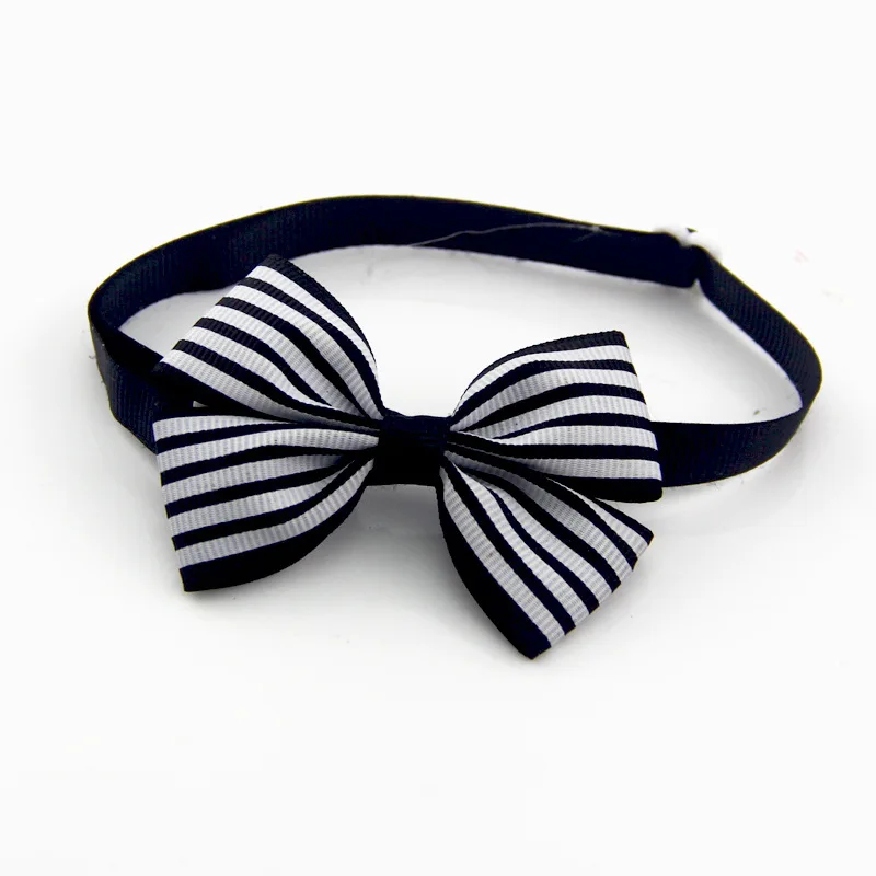 9144681300_1653323266