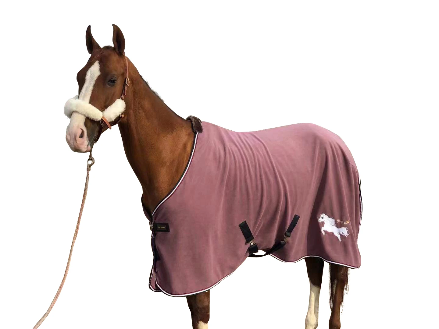 New European Thick Brushed Rugs, Thick Spring And Autumn Winter Horse Covering Five Colors