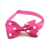 style 10 Pet tie