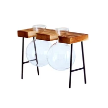 Скандинавские гидропоники контейнер зеленый укроп завод прозрачная стеклянная ваза настольное украшение с деревянной железной подставкой