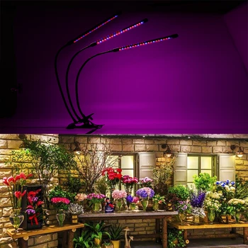 

Hot Sale Grow Light USB LED Full Spectrum Lamps For Indoor Vegetable Flower Plant For Plants Seedlings Flower