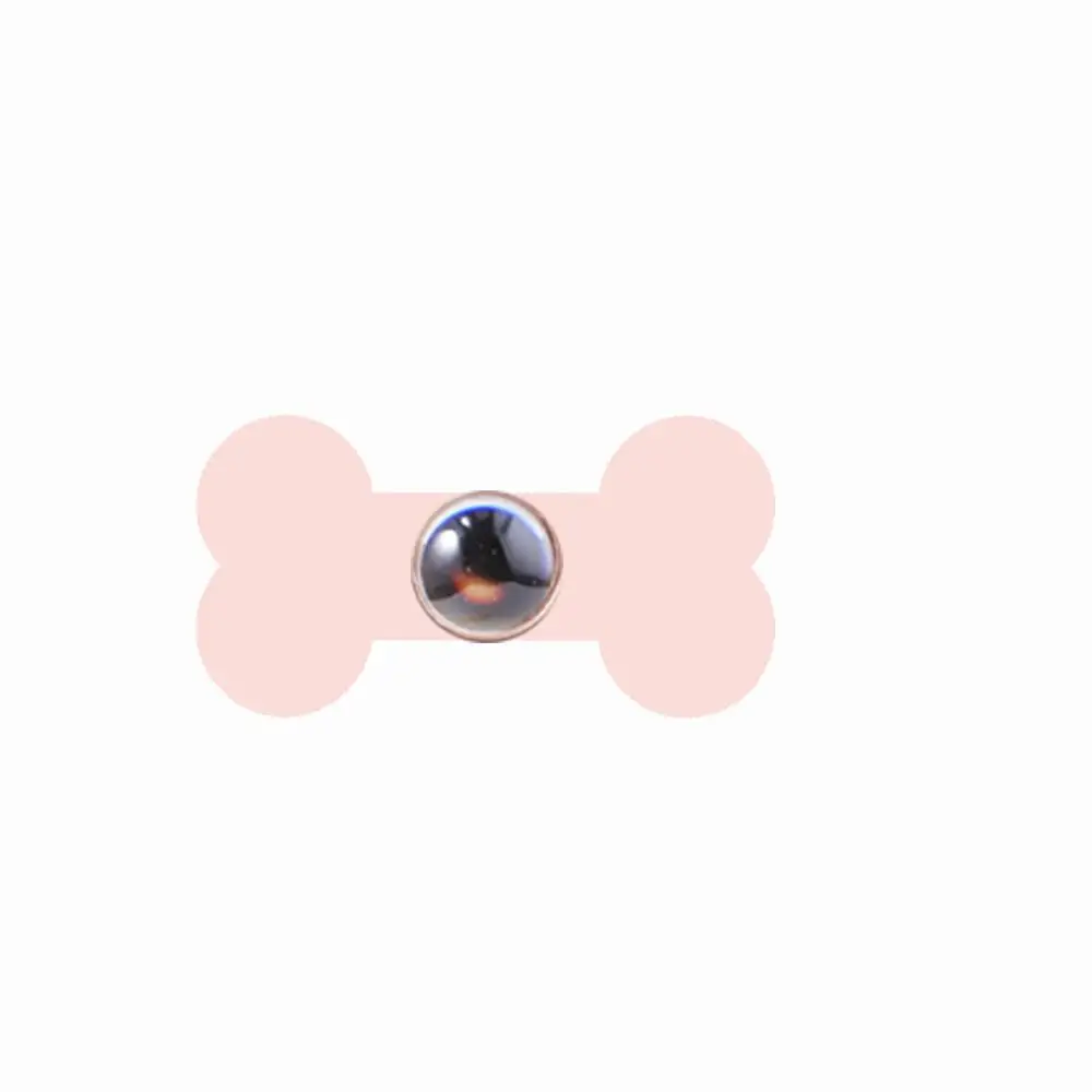 Rose Gold Bone RJ пользовательский любимого питомца, имя, изображение 100 языков I Love you ожерелье кулон кошка собака Лапа кости в форме колье леди Для мужчин ювелирные изделия - Окраска металла: Rose Gold Bone