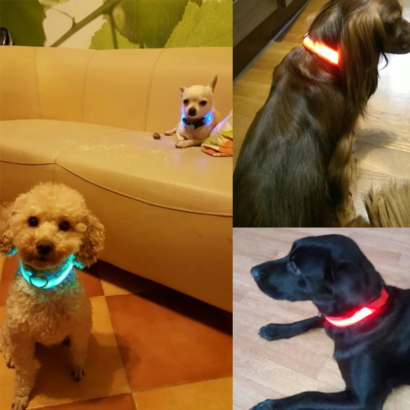 USB Перезаряжаемый светодиодный ошейник для собак, мигающий светящийся безопасный светильник, нейлоновый ошейник для собак, ожерелье для щенков