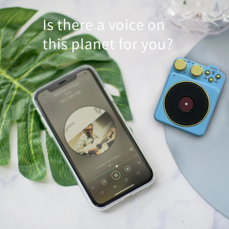 Мини Bluetooth мини-динамик с деревенской кошкой стиль FM Радио Стерео Hifi звуковая коробка Громкая связь для Xiaomi Iphone