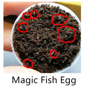 

Magic Killi fish Egg soil Hatching DIY Toys Anti stress Educational Learning Toys for Student Kids Boy Girl New Year Gift