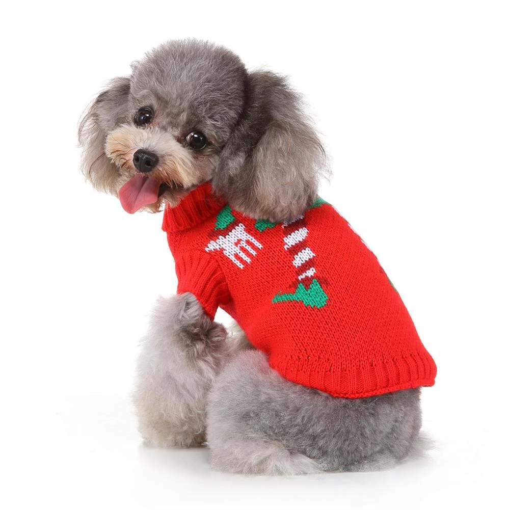stylish dog sweaters