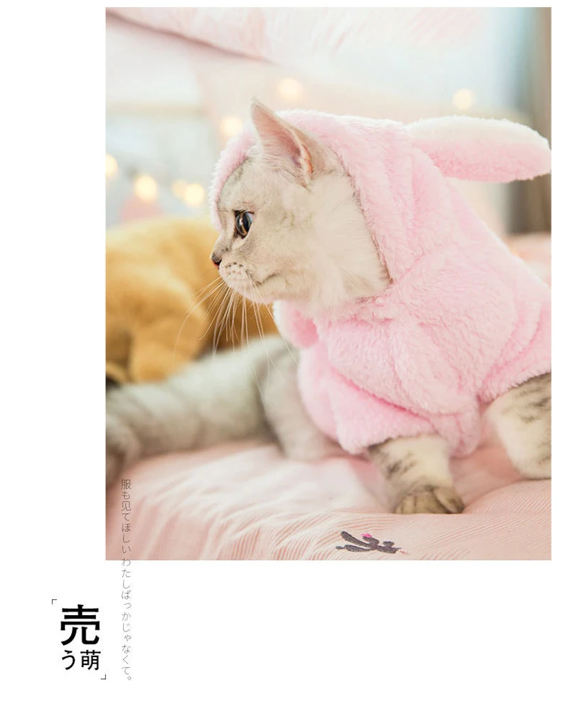 9360573400_859103132