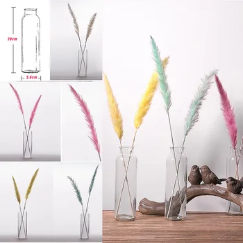 

15 Pcs Dried Small Pampas Grass Phragmites Communis Decoration for Home Hotel Wedding HG99