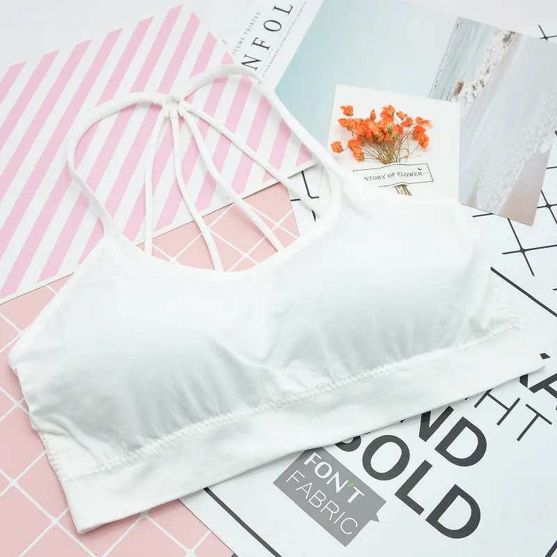 3935108187_1176988226